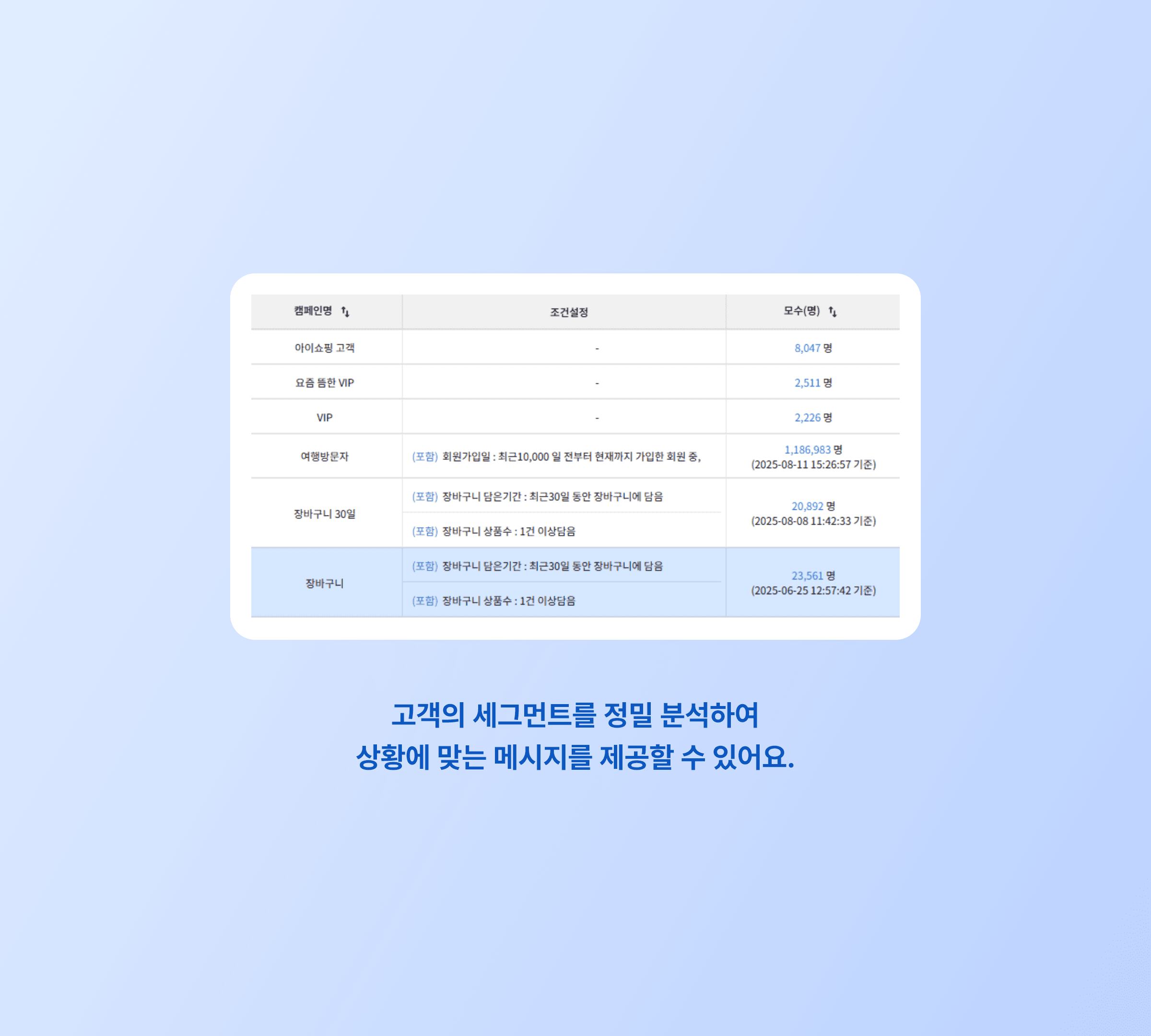 고객의 세그먼트를 정밀 분석하여 상황에 맞는 메시지를 제공할 수 있어요.